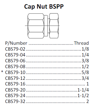 Cap Nut BSPP