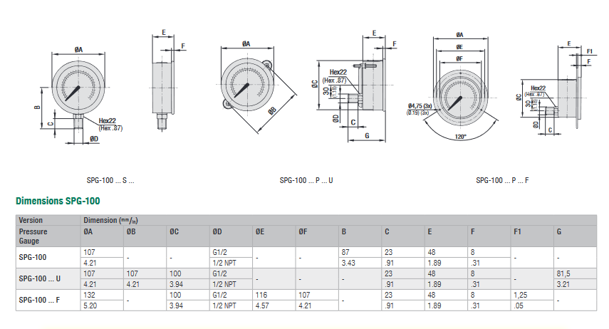 SPG-100 Series Stem Mounted Analogue Pressure Gauges