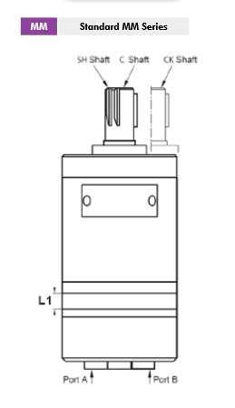 MM Series Gerotor Motor