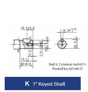 BMRS Series Geroler Motor - 4 Bolt Square Mount - 1" Keyed Shaft