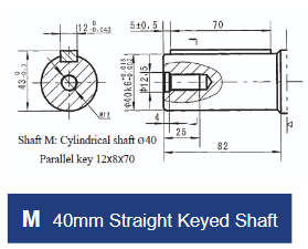 BMT Series Geroler Motors - 4 Bolt Square Mount - 40mm Straight Keyed Shaft