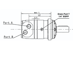 BMV Series Geroler Motors - 4 Bolt Square Mount - 50mm Straight Keyed Shaft