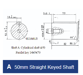 BMV Series Geroler Motors - 4 Bolt Square Mount - 50mm Straight Keyed Shaft