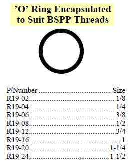 O-Ring Encapsulated suit BSPP