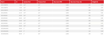 20C Series Group 2 Pump (European Standard) BSPP Ports 4-Bolt Mount, 1:8 Tapered Shaft