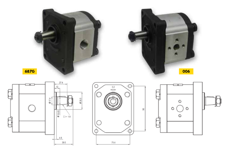 20C Series Group 2 Pump (European Standard) BSPP Ports 4-Bolt Mount, 1:8 Tapered Shaft
