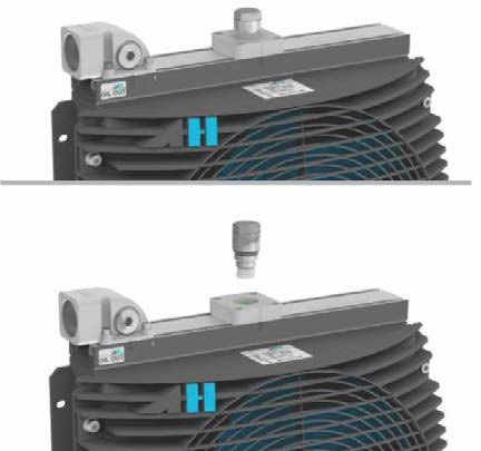 ASA Temperature Bypass Valve (TT Series only)