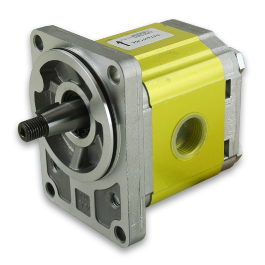 X2P Series Group 2 Pump Standard German Mount, 1:5 Tapered Shaft