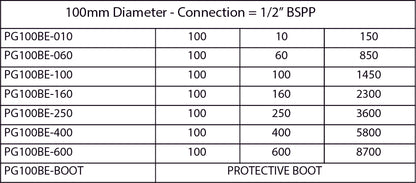 PG100BE Pressure Gauge Bottom Entry