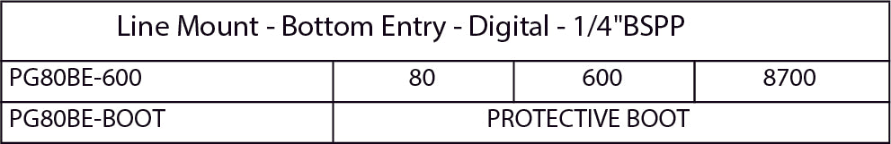 PG80BE Digital Pressure Gauge Bottom Entry