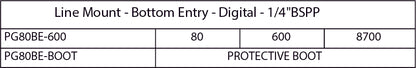 PG80BE Digital Pressure Gauge Bottom Entry