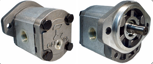 PLM20 - Group 2 SAE-A 2-Bolt