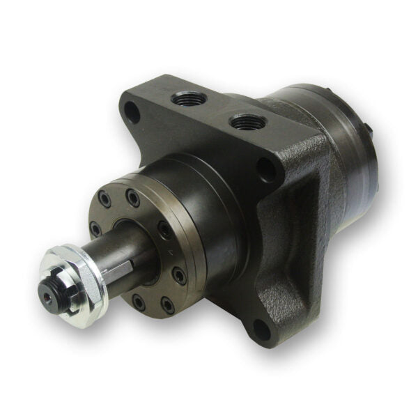 RW Series Geroler Motor Shaft Seals