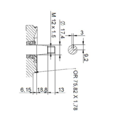 X2P Series Group 2 Pump Standard German Mount, 1:5 Tapered Shaft
