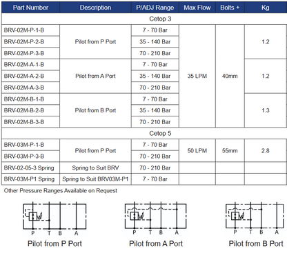 BRV Series Modular Reducing Valves
